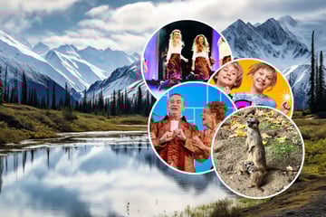 Von Erdmännchen bis zur Familien-Disco: Das könnt Ihr am Sonntag erleben