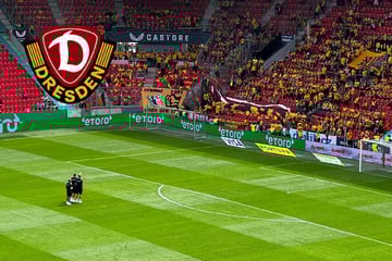 Dynamo-Dresden-Blog: SGD muss im Test gegen Prag auf Schreiber verzichten!