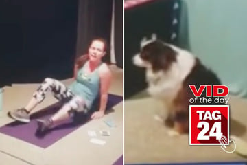 Viral Video of the Day for February 21, 2025: Woman catches dog copying her gym routine with precision!