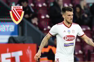 Sucht Cottbus jetzt im Ausland Verstärkung? Ungarn-Kante soll Kandidat sein