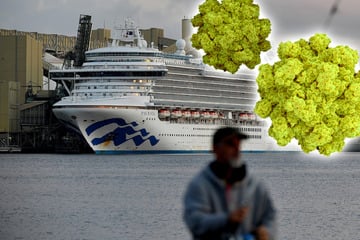 Über 120 Menschen infiziert, jetzt droht Virus erneut: Zweiter Ausbruch auf selbem Kreuzfahrtschiff?