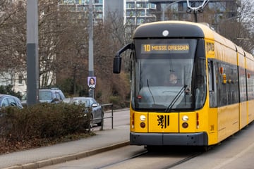 Wegen Gleisbau in Dresden: Straßenbahn mit neuen Routen