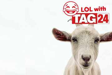 Joke of the Day for February 7, 2025: The best goat jokes to get your funny on