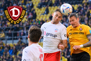 Dynamo empfängt Zwickau: Termin für Pokal-Kracher steht fest!