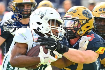 Keine Experimente! Das sind die nächsten Rückkehrer bei den Dresden Monarchs