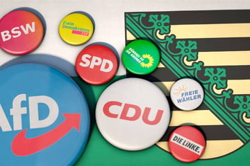 Landtagswahl in Sachsen: Ausschuss streicht vier Parteien vom Stimmzettel!