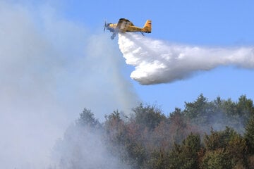 Nächster Waldbrand im Harz: Feuer bei Ballenstedt ausgebrochen