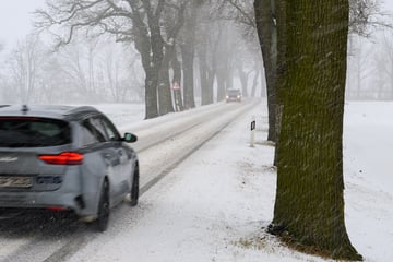 Autofahrerin prallt gegen Baum: Feuerwehr rettet sie aus Wrack