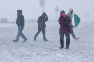 Unwetter auf dem Brocken! Heftiger Sturm legt Bahn lahm