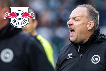Rauswurf! Ex-RB-Trainer Zorniger ab sofort arbeitslos