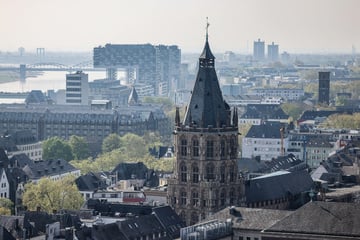 Hitzewelle, 1. FC Köln und Schulhöfe: Darauf hat sich der Stadtrat geeinigt