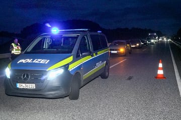 Unfall A23: Aggressiver Bulle legt A23 lahm und wird erschossen