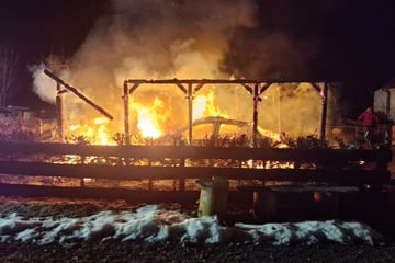 Anwohner entdeckt mitten in der Nacht Vollbrand - auch Auto betroffen