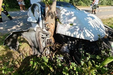Heftiger Crash: Audi kracht gegen Baum, Beifahrer schwer verletzt