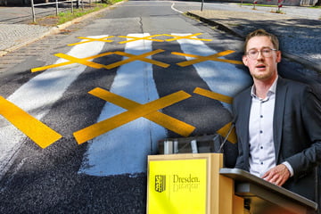 Dresden: Hier soll eh ein richtiger hin: Behörden-Wirrwarr in Dresden um Fake-Zebrastreifen