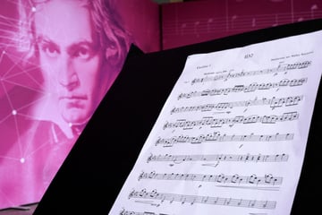 Beethoven's hair gives insights into possible cause of death