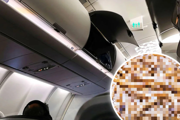 Gepäckfach wird geöffnet, Ekel-Alarm bricht aus: Flugzeug muss kurz nach Start umkehren