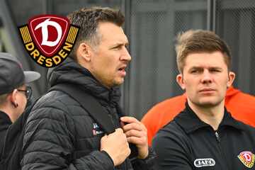 Dynamo-Dresden-Blog: Ralf Becker schlägt zu! Ex-Kaderplaner der SGD hat neuen Job