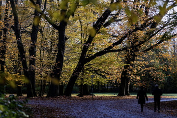 Liegen hier Bombenblindgänger im Boden? Kölner Park muss zeitweise gesperrt werden