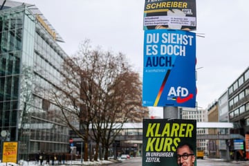Wahl im Südwesten: Diese Rechte hätte die AfD als größte Oppositionsfraktion