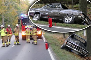 Oldtimer kracht im Landkreis Leipzig gegen Baum: Fahrer verletzt