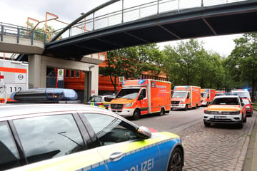 Hamburg: 28 Personen verletzt! Großeinsatz an Hamburger Stadtteilschule