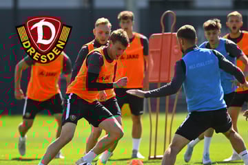 Dynamos Sommerfahrplan da! Diese Besonderheit gibt es beim Trainingsauftakt der SGD