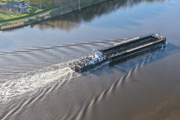Bringt ein Transportschiff aus der Altmark die Rettung für Wal "Timmy"?