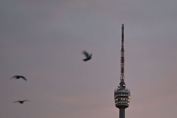 Regen, Sonne und Nebel: So launisch bleibt das Wetter in Baden-Württemberg