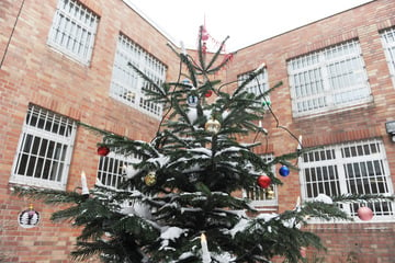 Berlin: Begnadigung vor Weihnachten: So viele Häftlinge wurden früher aus dem Knast entlassen