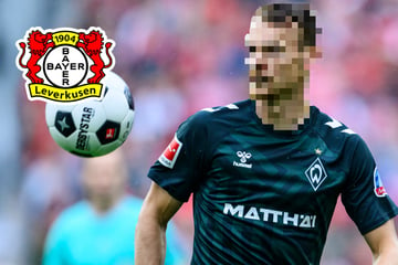 Sensationelle Transfer-News! Werder-Bremen-Star wechselt zu Bayer Leverkusen