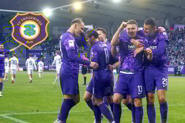 Aue-Abwehrspieler Majetschak: "Haben deutlich höhere Qualität, als wir zuletzt gezeigt haben!"