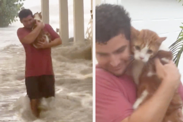 Katze in absoluter Hurrikan-Not! Ist das die süßeste Rettungsaktion des Jahres?
