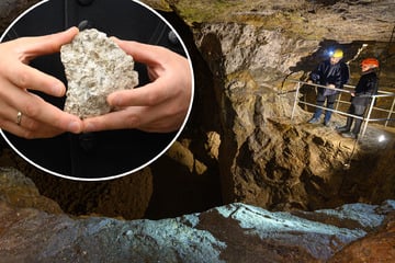 Holländer kaufen Zinnwalder Lithium-Bergwerk
