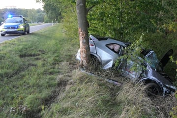 Unfall auf B107: Honda prallt gegen Baum