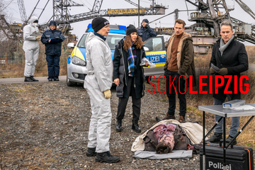 Krimi in Leipzig: Wildschweine buddeln Leiche in Tagebau aus