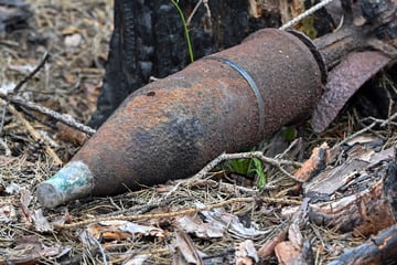 Granaten in der Elbe entdeckt: Wovor die Polizei jetzt warnt