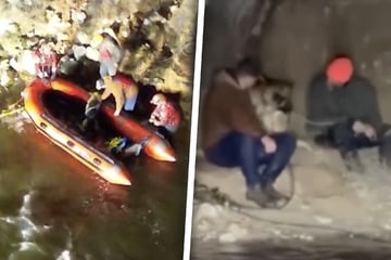 Männer wollen Hund retten, bringen sich dabei jedoch selbst in Gefahr