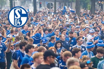 Schalke im Freudentaumel: Traditionsverein steigt in die Bundesliga auf