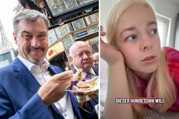 Grünen-Quälgeist Jette Nietzard beleidigt Söder als "Hundesohn"