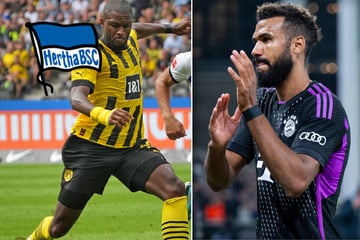 Knipser dringend gesucht: Schnappt sich Hertha Choupo-Moting oder Modeste?