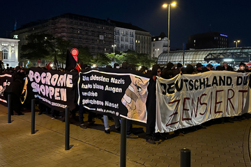 Hamburg: Demo in der Innenstadt: Motto sorgt für Aufsehen, Polizei im Großeinsatz