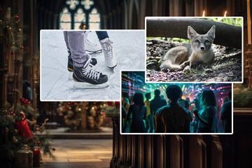 Sechs Ausflugsideen an Heiligabend für Groß und Klein