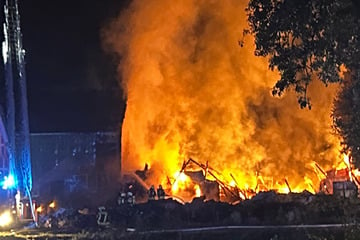 Flammeninferno auf Bauernhof! Feuerwehr im Großeinsatz