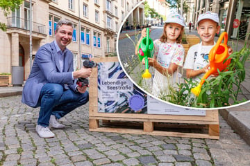 Dresden: Comeback für Kühns teuren Verkehrsversuch auf der Seestraße