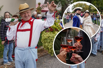 Mehr als 150 Kostümierte beim Weinbergfest: Kleines Comeback für den großen Winzerzug