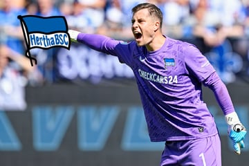 Hertha BSC: Ernst sagt Wolfsburg ab, aber darum wird er wohl trotzdem gehen