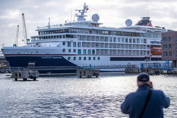 Verwesender, von Maden befallener Vogel! Ekel-Alarm auf deutschem Kreuzfahrtschiff