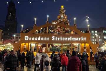 Der 591. Dresdner Striezelmarkt überzeugt dieses Jahr mit diesen Besonderheiten
