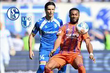 Hochrisikospiel auf Schalke: Kein Alkohol für Magdeburg-Fans
